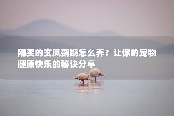 刚买的玄凤鹦鹉怎么养？让你的宠物健康快乐的秘诀分享