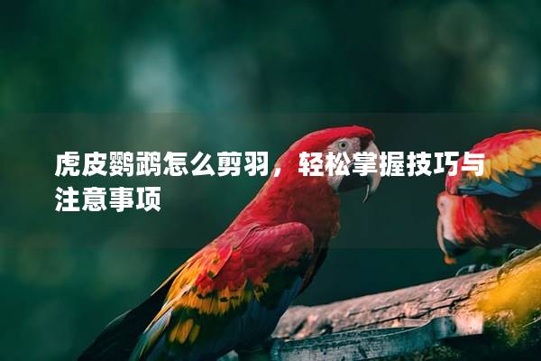 虎皮鹦鹉怎么剪羽，轻松掌握技巧与注意事项
