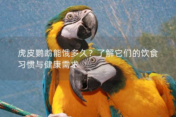 虎皮鹦鹉能饿多久？了解它们的饮食习惯与健康需求
