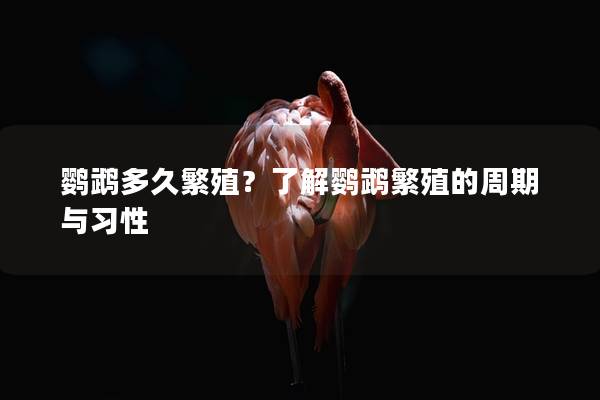 鹦鹉多久繁殖？了解鹦鹉繁殖的周期与习性