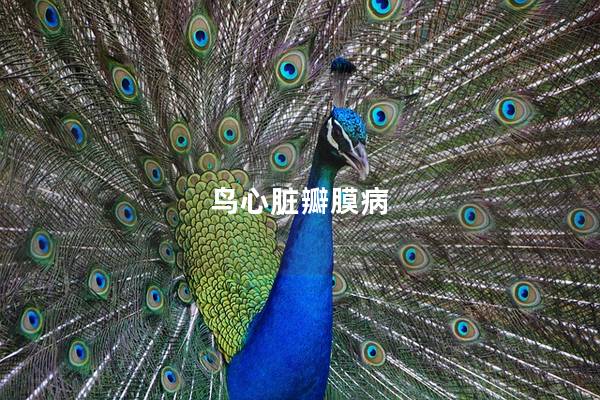 鸟心脏瓣膜病