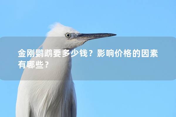 金刚鹦鹉要多少钱？影响价格的因素有哪些？