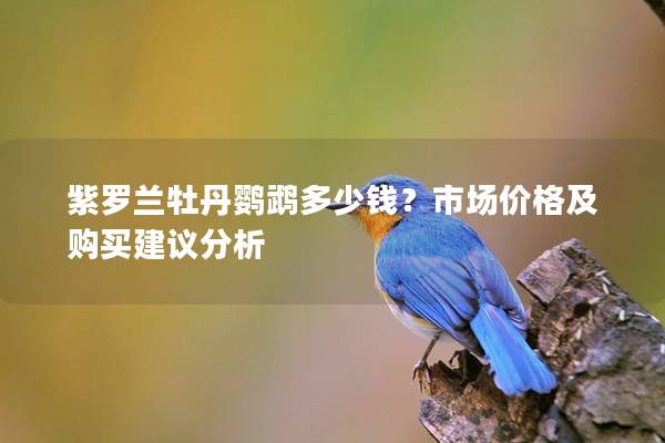 紫罗兰牡丹鹦鹉多少钱？市场价格及购买建议分析