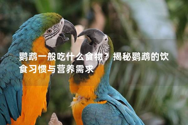 鹦鹉一般吃什么食物？揭秘鹦鹉的饮食习惯与营养需求
