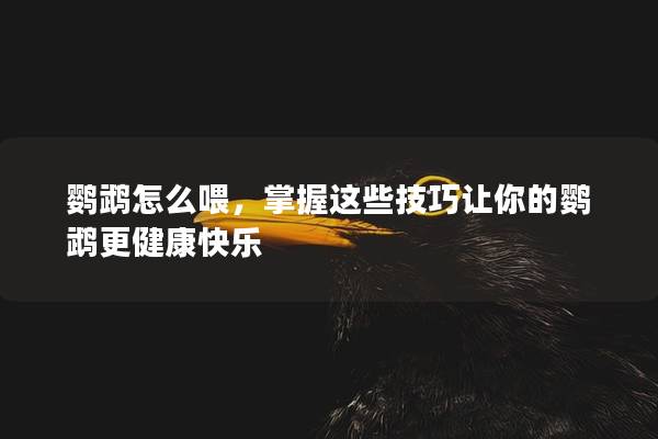 鹦鹉怎么喂，掌握这些技巧让你的鹦鹉更健康快乐