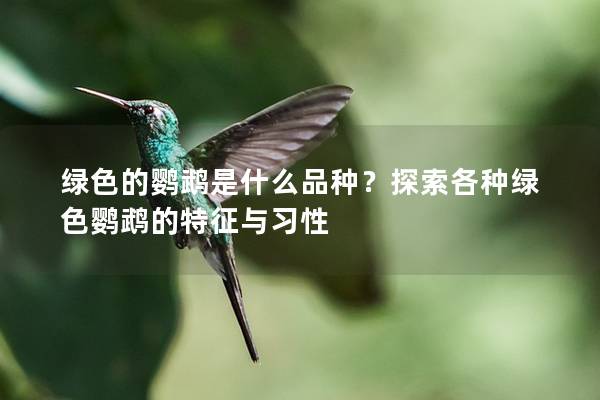 绿色的鹦鹉是什么品种？探索各种绿色鹦鹉的特征与习性