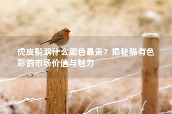 虎皮鹦鹉什么颜色最贵？揭秘稀有色彩的市场价值与魅力