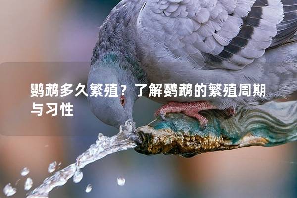 鹦鹉多久繁殖？了解鹦鹉的繁殖周期与习性