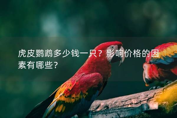 虎皮鹦鹉多少钱一只？影响价格的因素有哪些？
