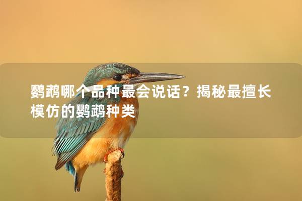 鹦鹉哪个品种最会说话？揭秘最擅长模仿的鹦鹉种类