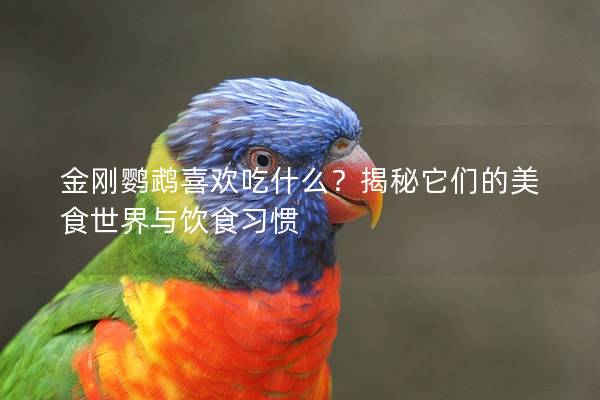 金刚鹦鹉喜欢吃什么？揭秘它们的美食世界与饮食习惯