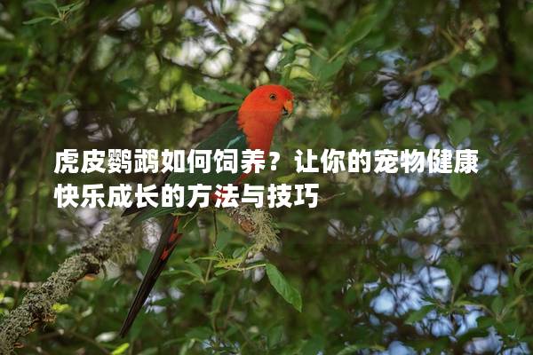 虎皮鹦鹉如何饲养？让你的宠物健康快乐成长的方法与技巧