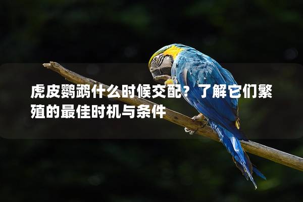 虎皮鹦鹉什么时候交配？了解它们繁殖的最佳时机与条件