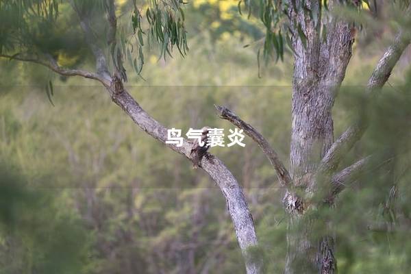 鸟气囊炎