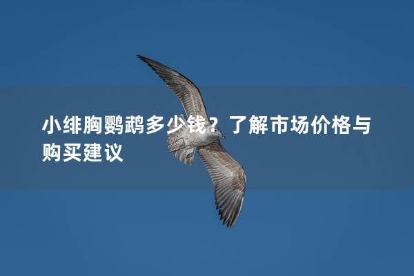 小绯胸鹦鹉多少钱？了解市场价格与购买建议