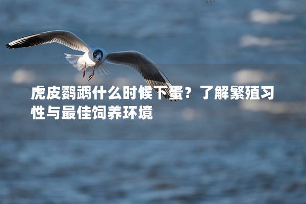 虎皮鹦鹉什么时候下蛋？了解繁殖习性与最佳饲养环境