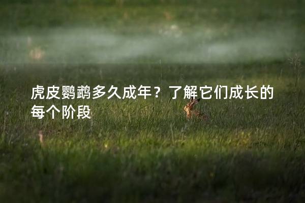 虎皮鹦鹉多久成年？了解它们成长的每个阶段