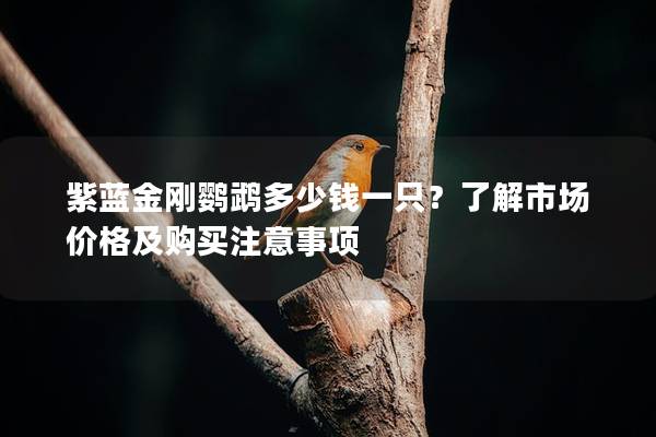 紫蓝金刚鹦鹉多少钱一只？了解市场价格及购买注意事项