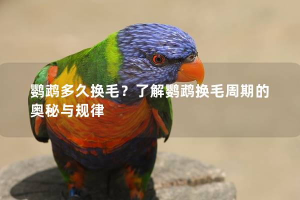 鹦鹉多久换毛？了解鹦鹉换毛周期的奥秘与规律