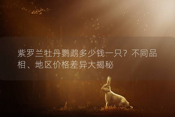 紫罗兰牡丹鹦鹉多少钱一只？不同品相、地区价格差异大揭秘