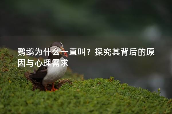 鹦鹉为什么一直叫？探究其背后的原因与心理需求