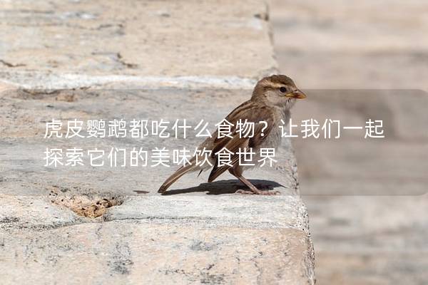 虎皮鹦鹉都吃什么食物？让我们一起探索它们的美味饮食世界