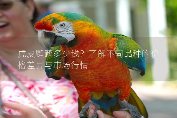 虎皮鹦鹉多少钱？了解不同品种的价格差异与市场行情