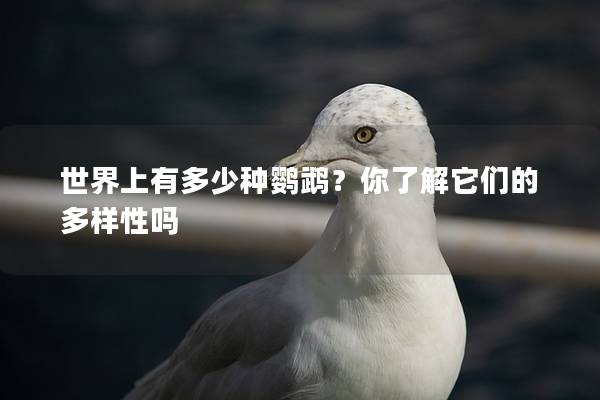 世界上有多少种鹦鹉？你了解它们的多样性吗