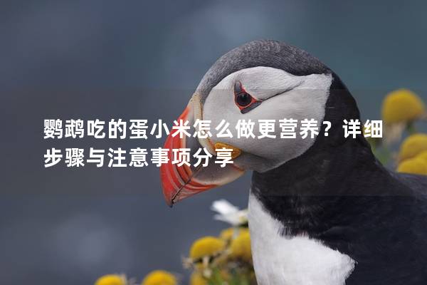 鹦鹉吃的蛋小米怎么做更营养？详细步骤与注意事项分享