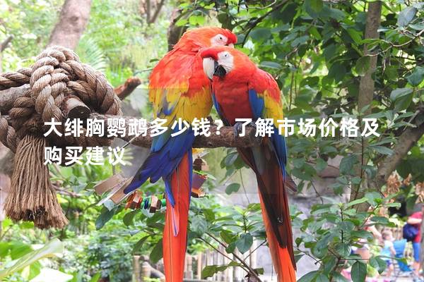 大绯胸鹦鹉多少钱？了解市场价格及购买建议