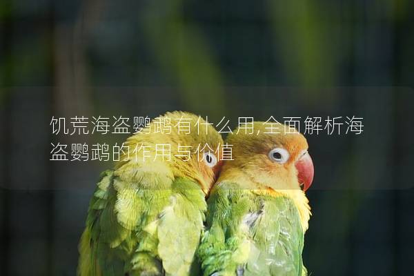 饥荒海盗鹦鹉有什么用,全面解析海盗鹦鹉的作用与价值
