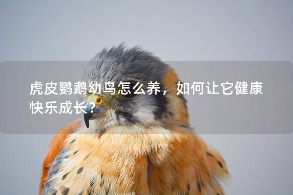 虎皮鹦鹉幼鸟怎么养，如何让它健康快乐成长？