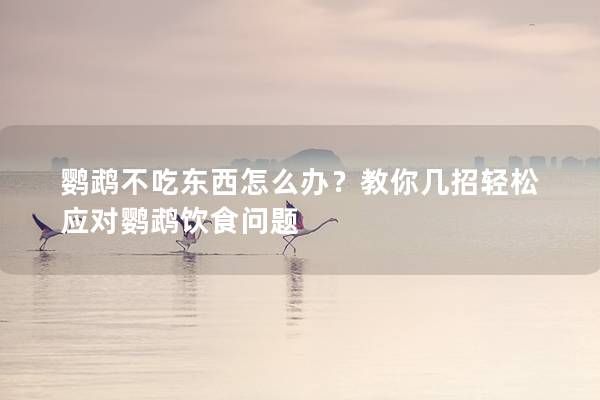 鹦鹉不吃东西怎么办？教你几招轻松应对鹦鹉饮食问题