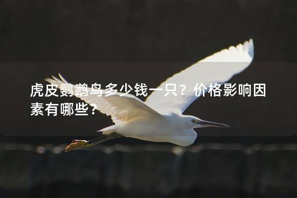 虎皮鹦鹉鸟多少钱一只？价格影响因素有哪些？