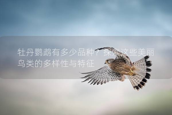 牡丹鹦鹉有多少品种？探索这些美丽鸟类的多样性与特征