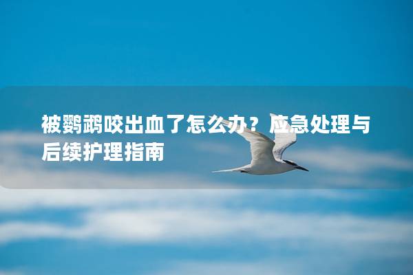被鹦鹉咬出血了怎么办？应急处理与后续护理指南
