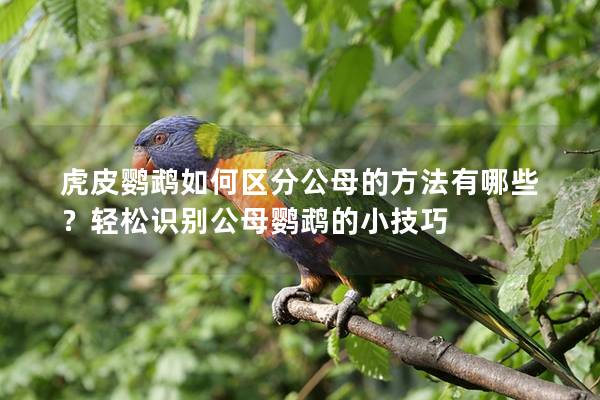 虎皮鹦鹉如何区分公母的方法有哪些？轻松识别公母鹦鹉的小技巧