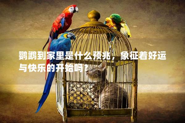 鹦鹉到家里是什么预兆，象征着好运与快乐的开始吗？