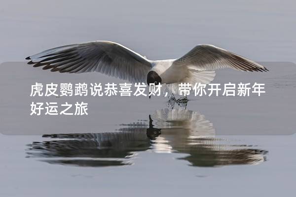 虎皮鹦鹉说恭喜发财，带你开启新年好运之旅