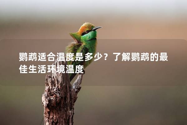 鹦鹉适合温度是多少？了解鹦鹉的最佳生活环境温度