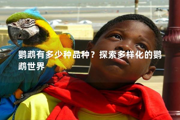 鹦鹉有多少种品种？探索多样化的鹦鹉世界