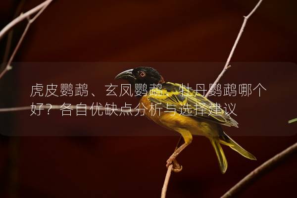 虎皮鹦鹉、玄凤鹦鹉、牡丹鹦鹉哪个好？各自优缺点分析与选择建议