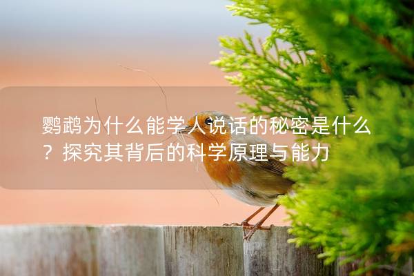 鹦鹉为什么能学人说话的秘密是什么？探究其背后的科学原理与能力