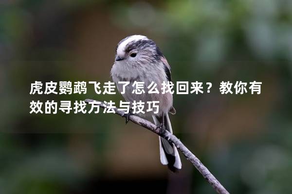 虎皮鹦鹉飞走了怎么找回来？教你有效的寻找方法与技巧