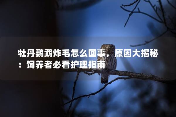 牡丹鹦鹉炸毛怎么回事，原因大揭秘：饲养者必看护理指南