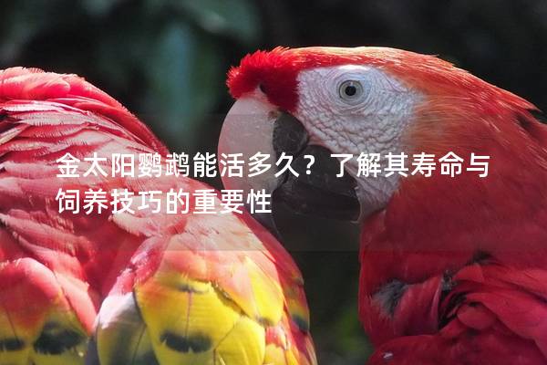 金太阳鹦鹉能活多久？了解其寿命与饲养技巧的重要性