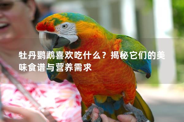 牡丹鹦鹉喜欢吃什么？揭秘它们的美味食谱与营养需求