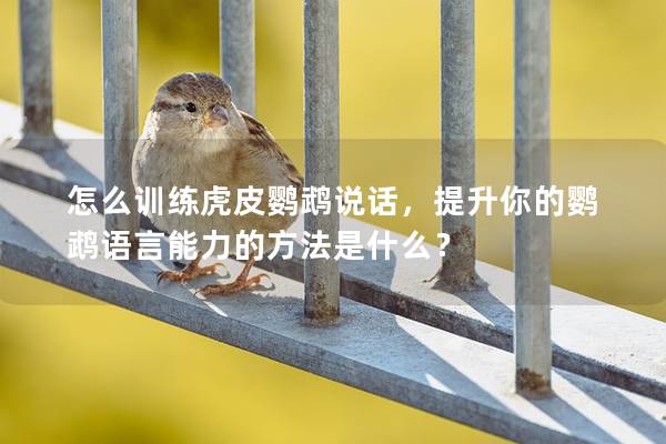 怎么训练虎皮鹦鹉说话，提升你的鹦鹉语言能力的方法是什么？