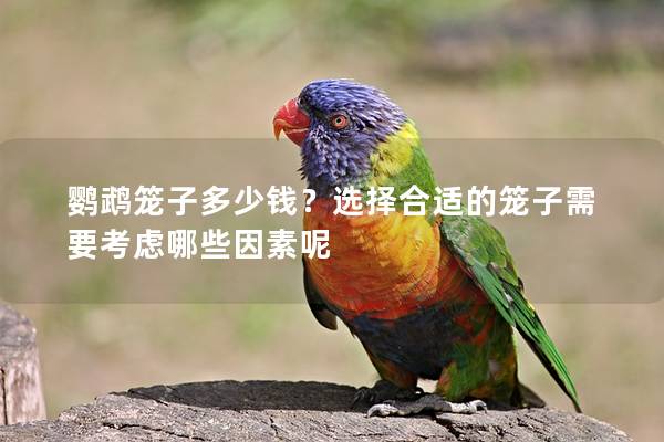 鹦鹉笼子多少钱？选择合适的笼子需要考虑哪些因素呢