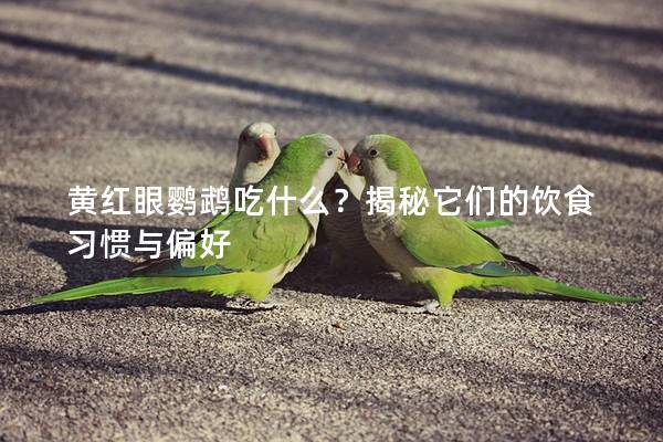 黄红眼鹦鹉吃什么？揭秘它们的饮食习惯与偏好